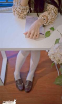 后宫露营 在线观看_BD韩语免费在线播放